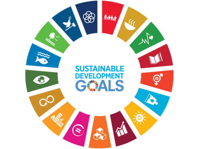 SDG-mission nordicie SDG mission circle