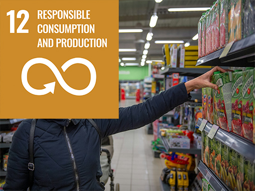 sdg (12) sdg goal, responsible consumption and production