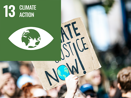 sdg (13) sdg goal, climate action