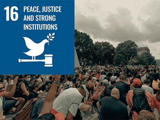 sdg (16) sdg goal, peace justice and strong institution