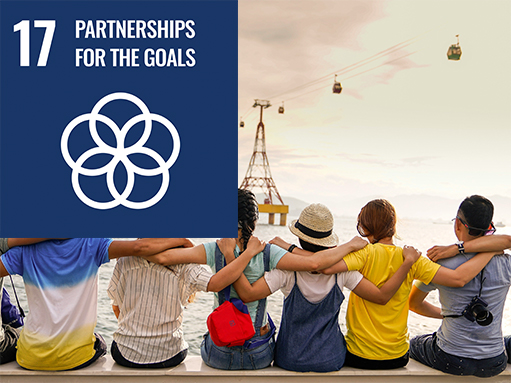 sdg (17) sdg goal, partnerships for the goals