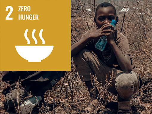sdg (2) sdg goal, zero hunger