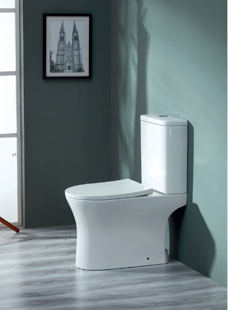 toilet (1) a white toilet