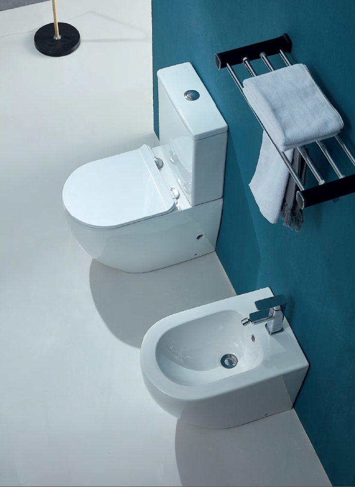 toilet (2) 2 white toilets