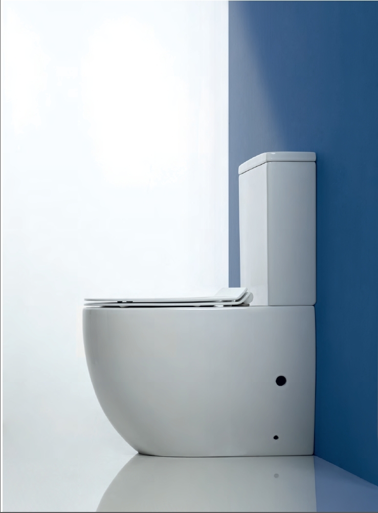 toilet (3) a white toilet