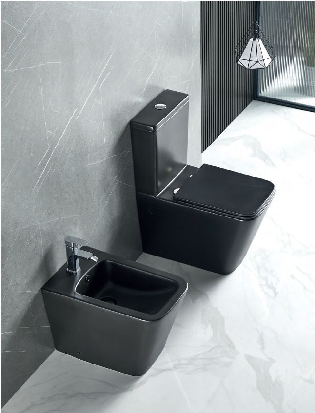 toilet (5) two black toilets