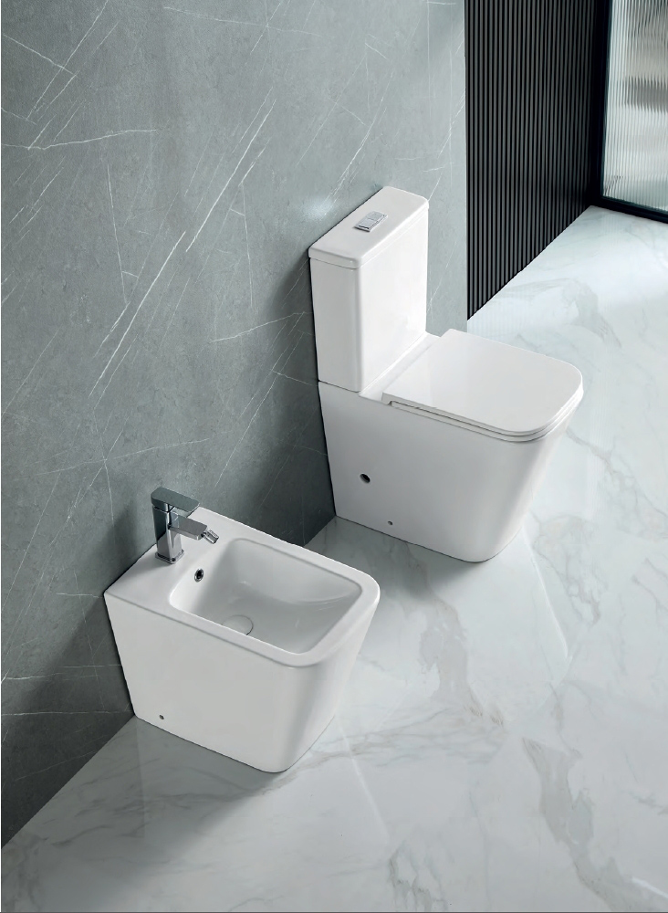 toilet (6) two white toilets
